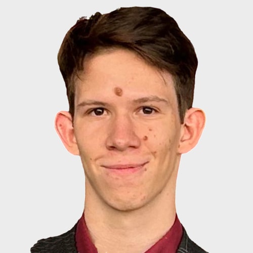 Лев Михайлович С. - Ведет курс Нейросети для детей: основы и практика и еще 2 курса рис.1